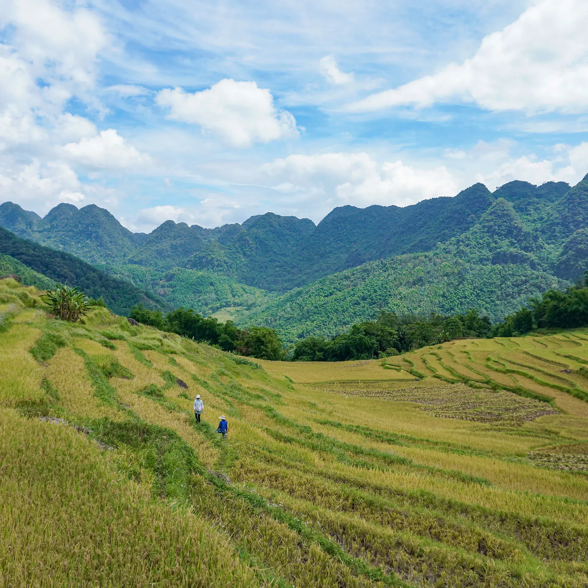 Breathe After Storm Tour - Pu Luong 2 Days 1 Night