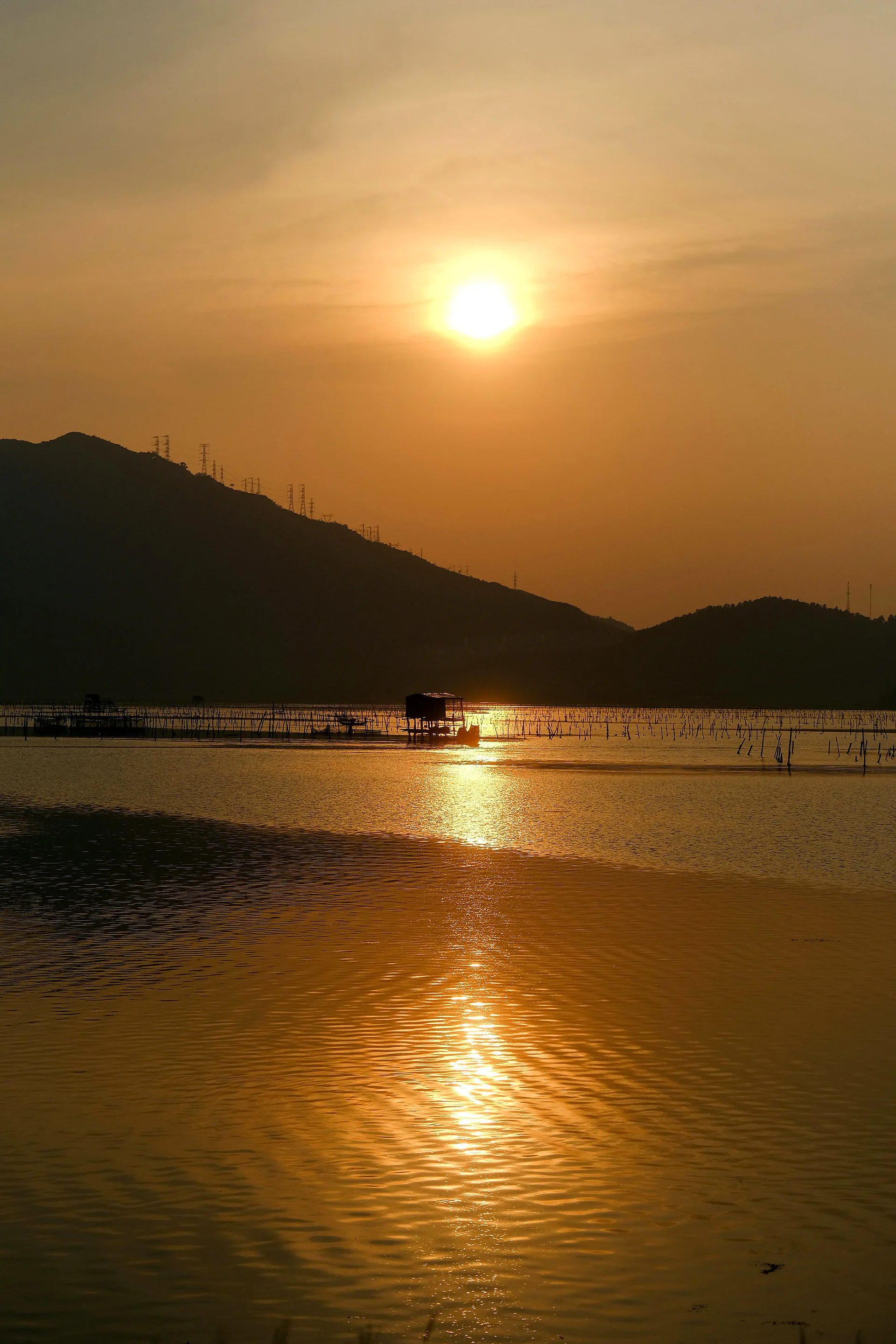 Mekong Cruises