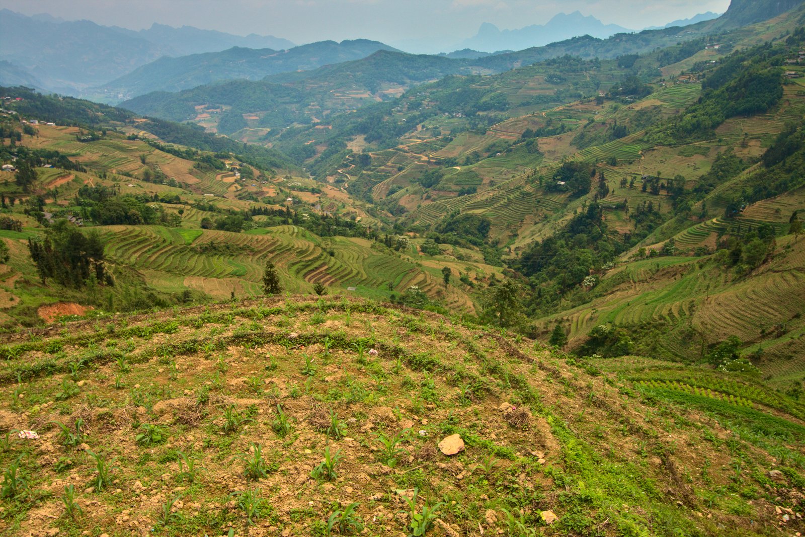 8-Day Hoang Su Phi Trekking Tour – Off-the-Beaten-Path Adventure from Hanoi