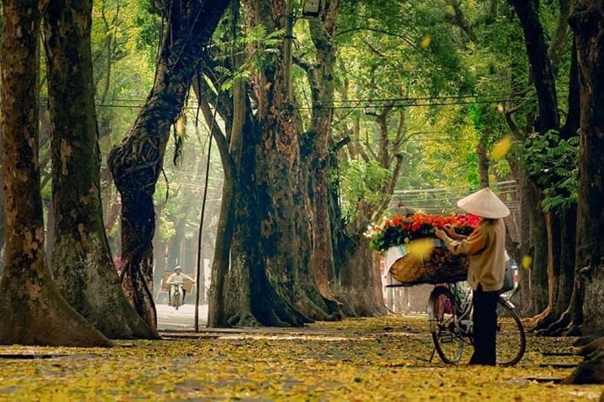 Best Time for a Bike Tour in Hanoi: A Seasonal Guide