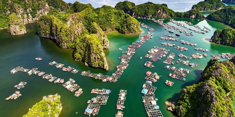Halong Bay Day Trip from Hanoi: Your Perfect 2025 Travel Guide