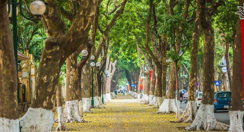 Discover The Capital Soul On A Unique Hanoi City Walking Tour