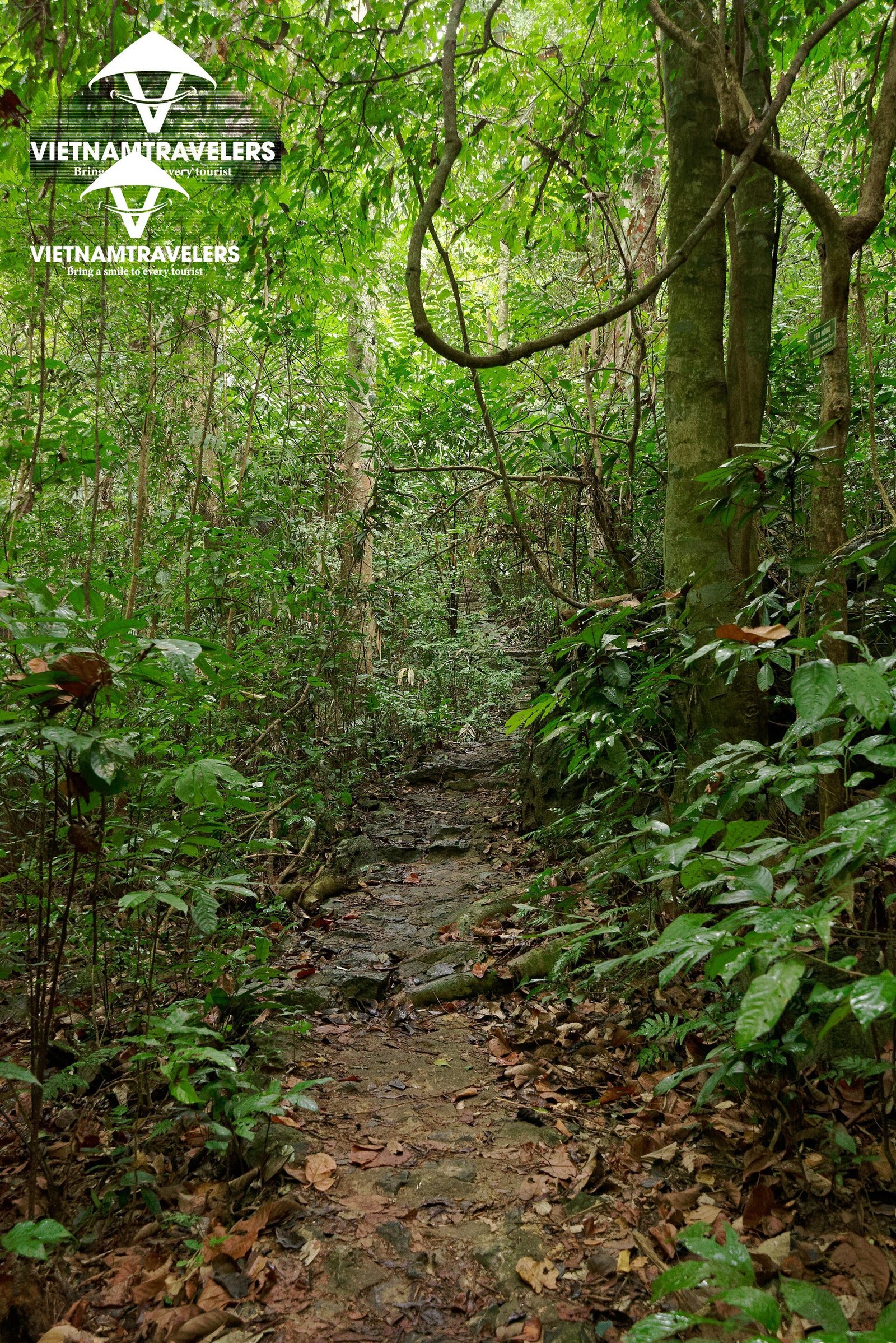 Vietnam Romantic Honeymoon Holiday 14 days