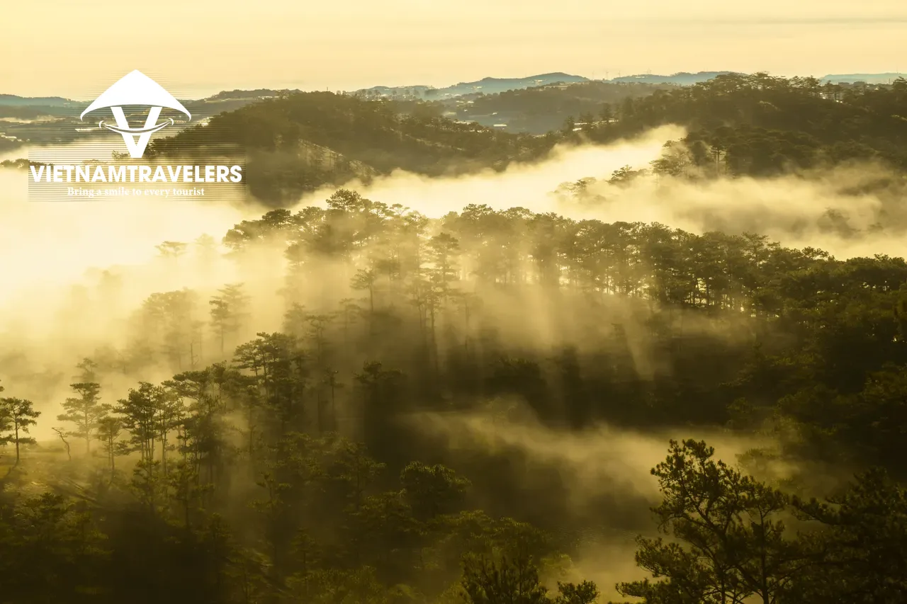 Muslim Curated Journey: Ho Chi Minh City & Dalat Mountain 5 days