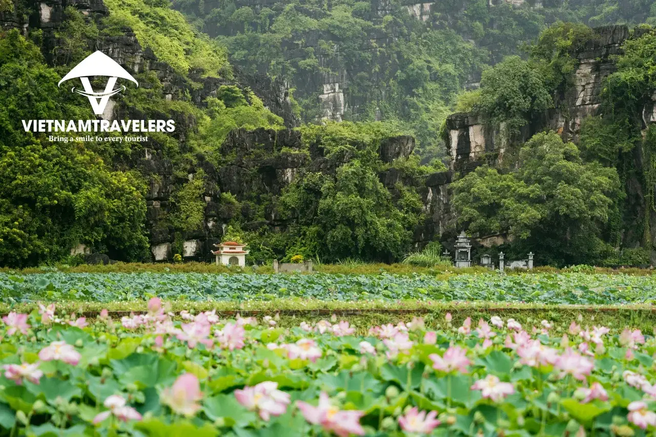 Authentic Van Long Nature Reserve Tour – 1 Day