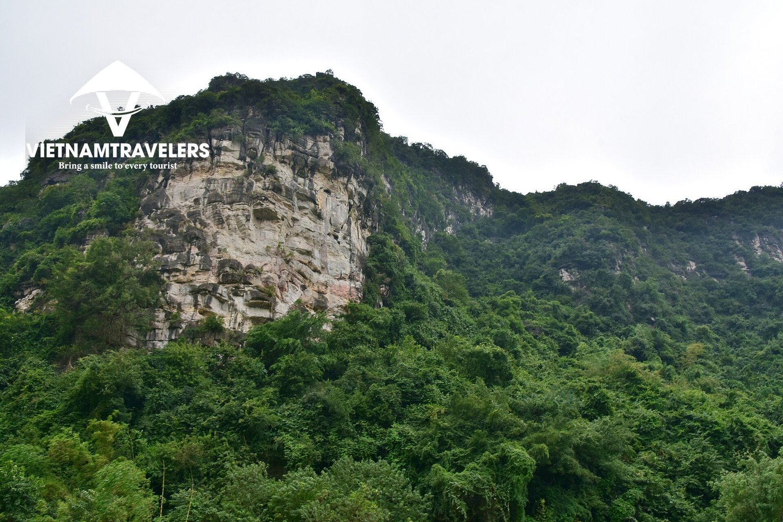 Cuc Phuong National Park Full Day