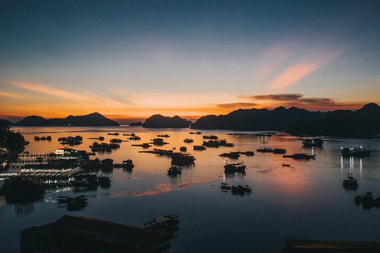 Cat Ba Half-Day Climbing Adventure