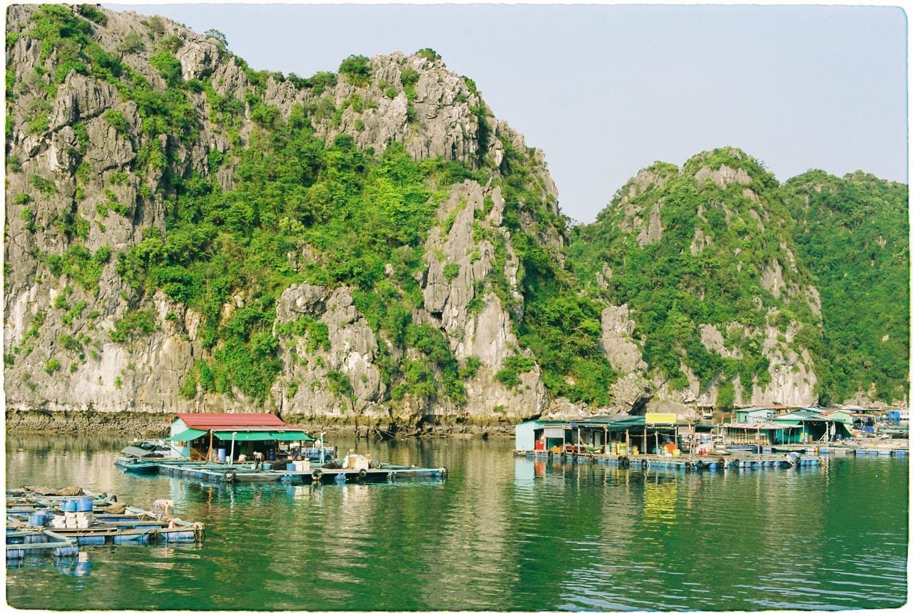 La Regina Cruise: 3-Day Halong & Lan Ha Bay Escape