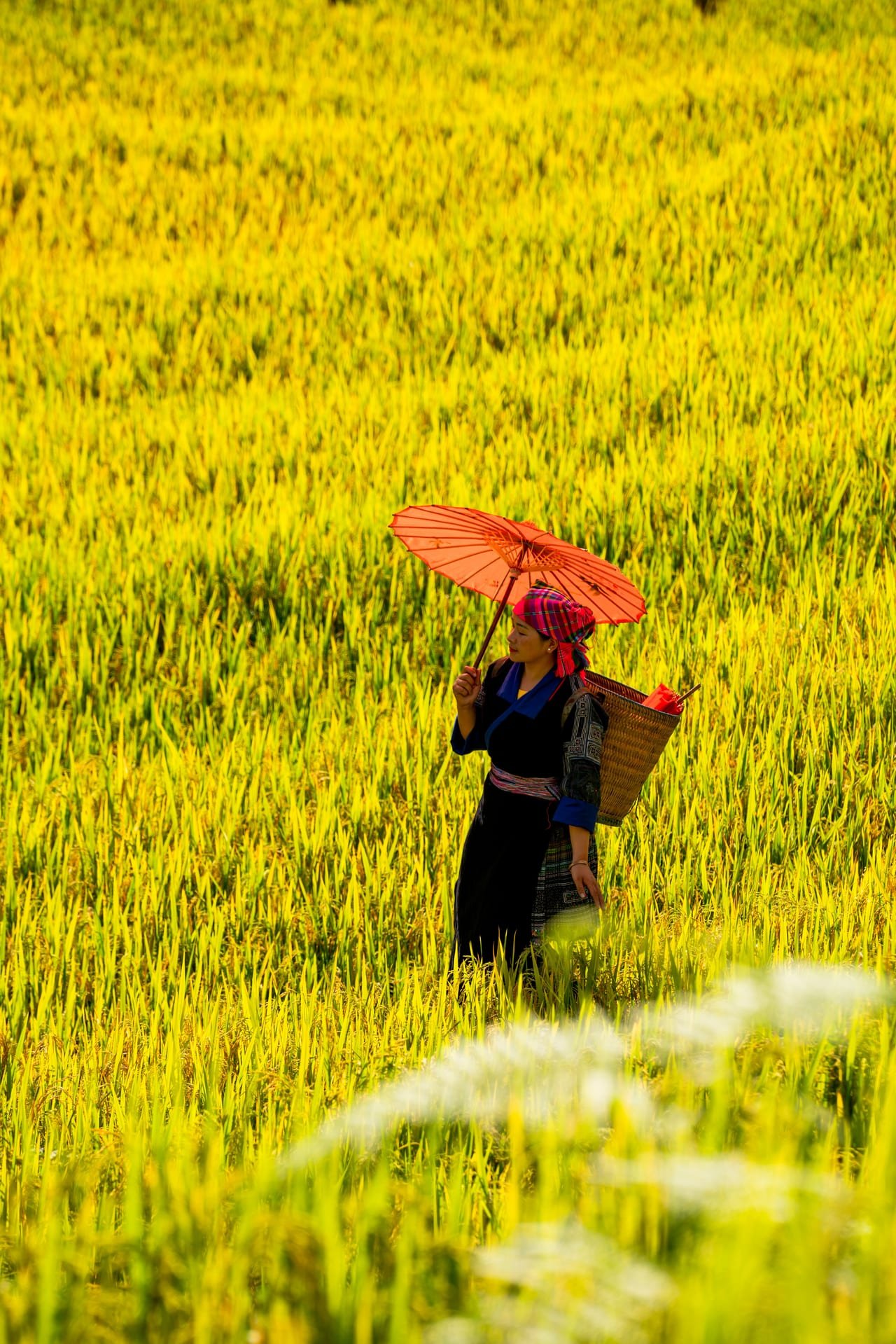 Breathe After Storm Tour - Pu Luong 2 Days 1 Night
