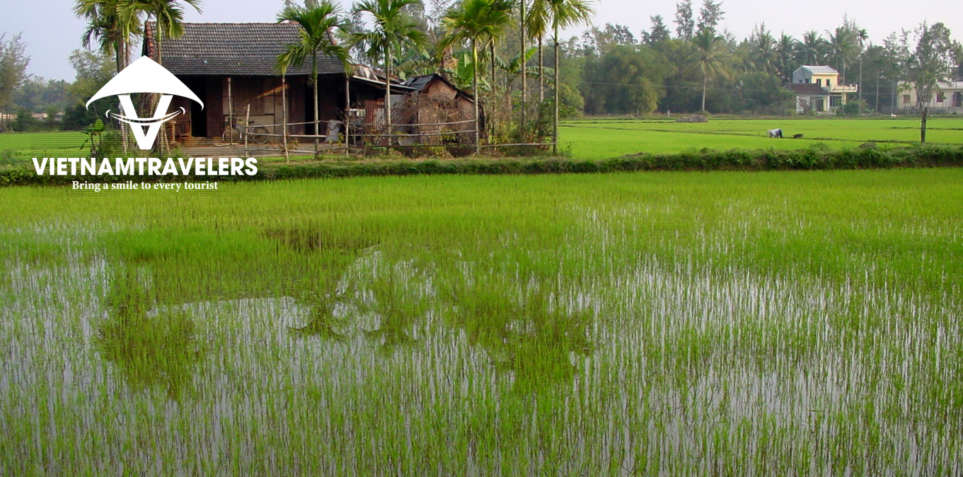 Real Taste of Vietnam - 13 Days