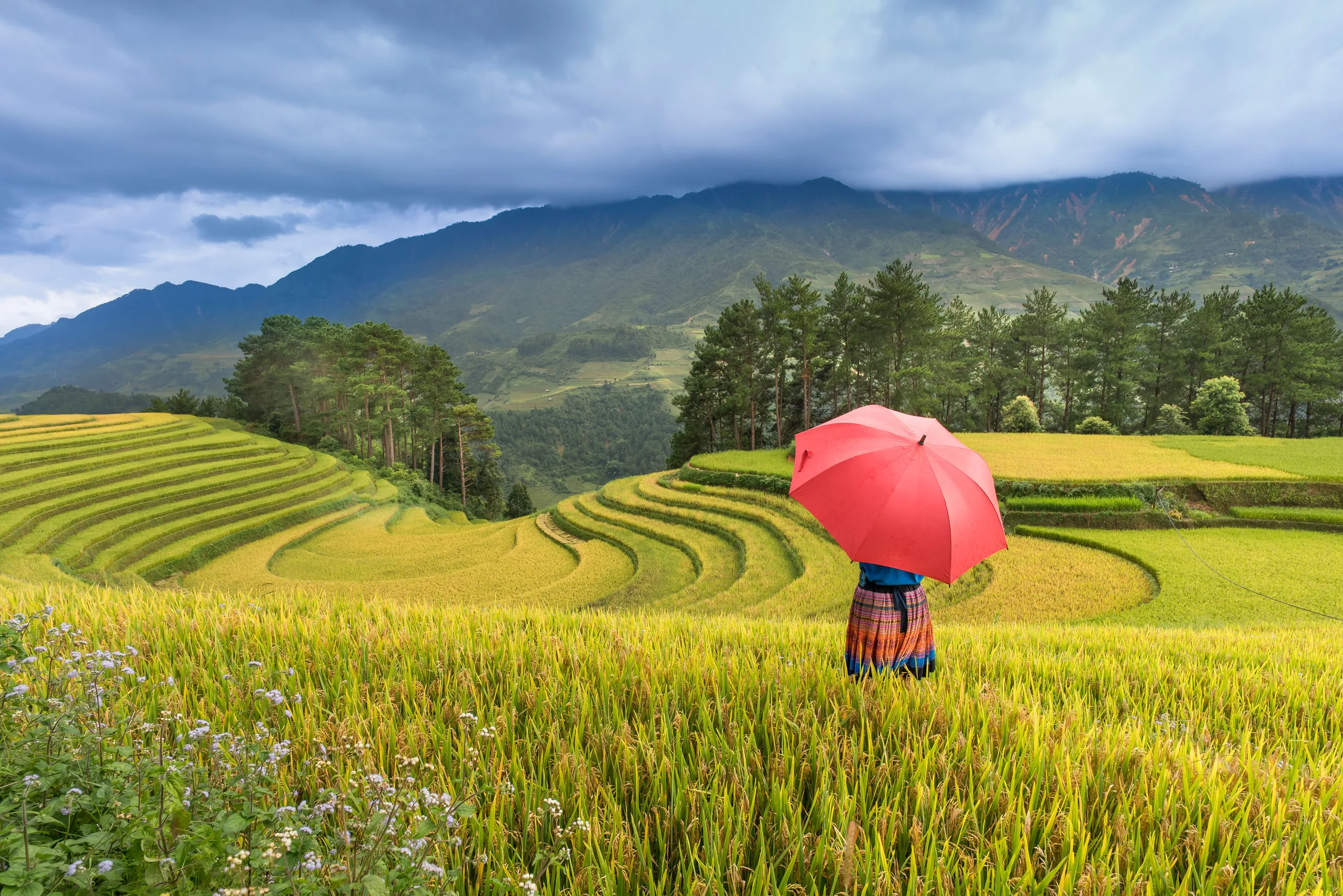 Easy Discover Sapa Holiday | 3 Days Private Tour from Hanoi