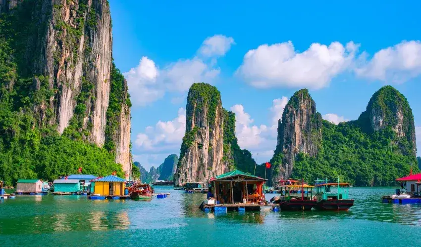Floating rafts on the bay where tourists can enjoy local cuisine
