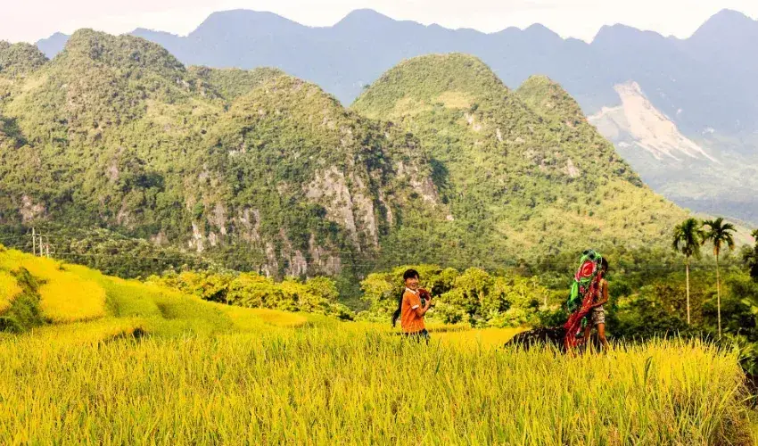 Pu Luong is an ideal destination for those who want to enjoy a peaceful holiday