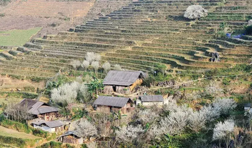 Peaceful countryside