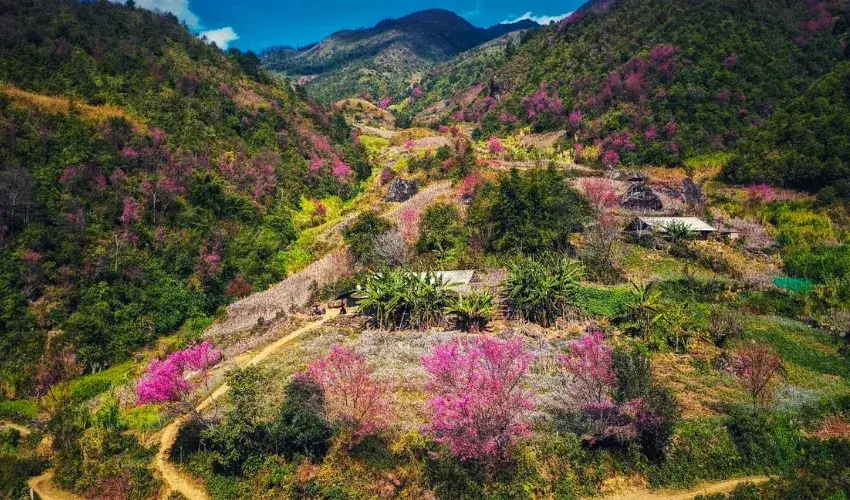 Mu Cang Chai tours