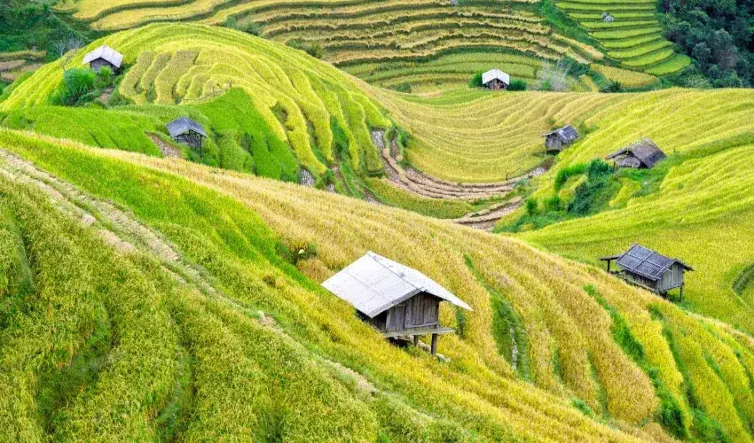 Pu Luong is famous for its terraced rice fields