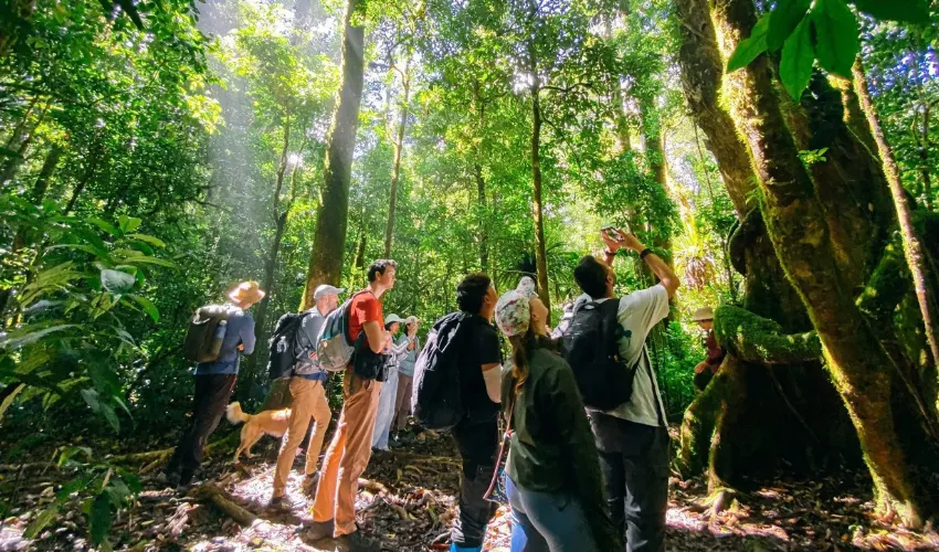Foreign tourists join a trekking tour to explore the nature of Da Lat