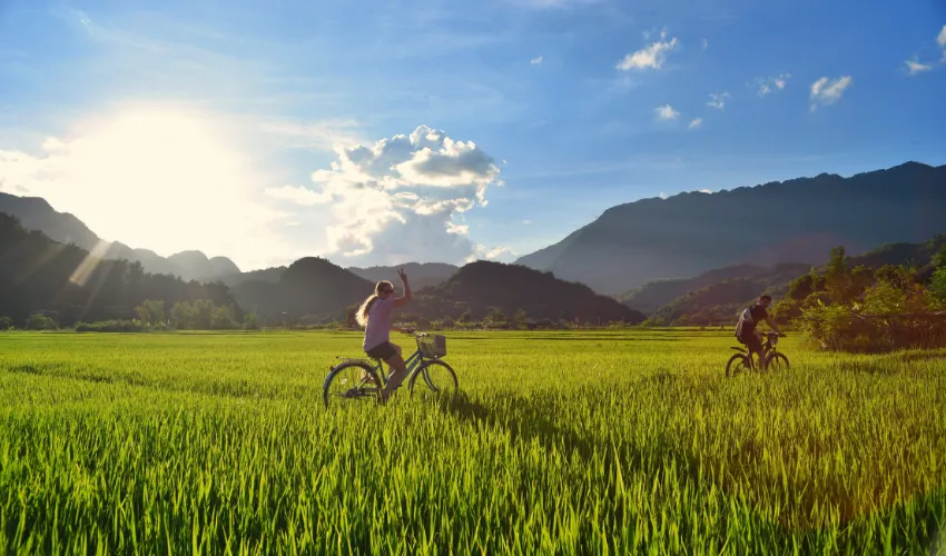 Cyclists riding through green fields and mountain scenery on a biking tour