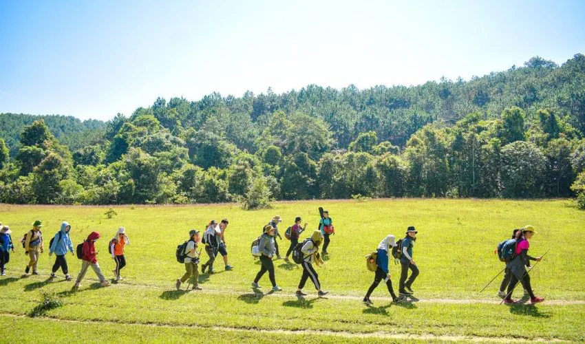 Travelers hiking on a forest trail during a trekking tour in Vietnam