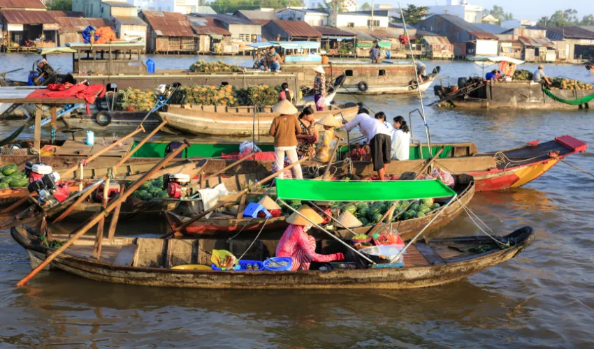 Traditional Mekong Delta floating market experience on a southern Vietnam day trip