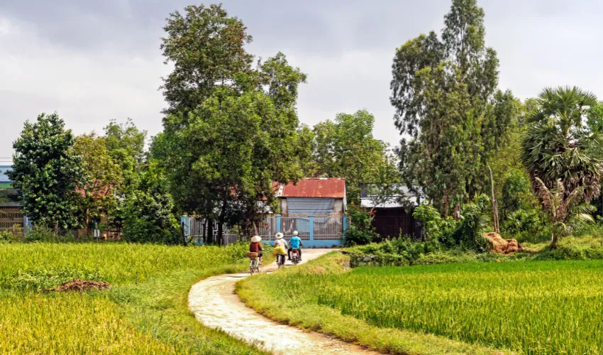 Travelers cycling through rice fields on a biking tour in Vietnam